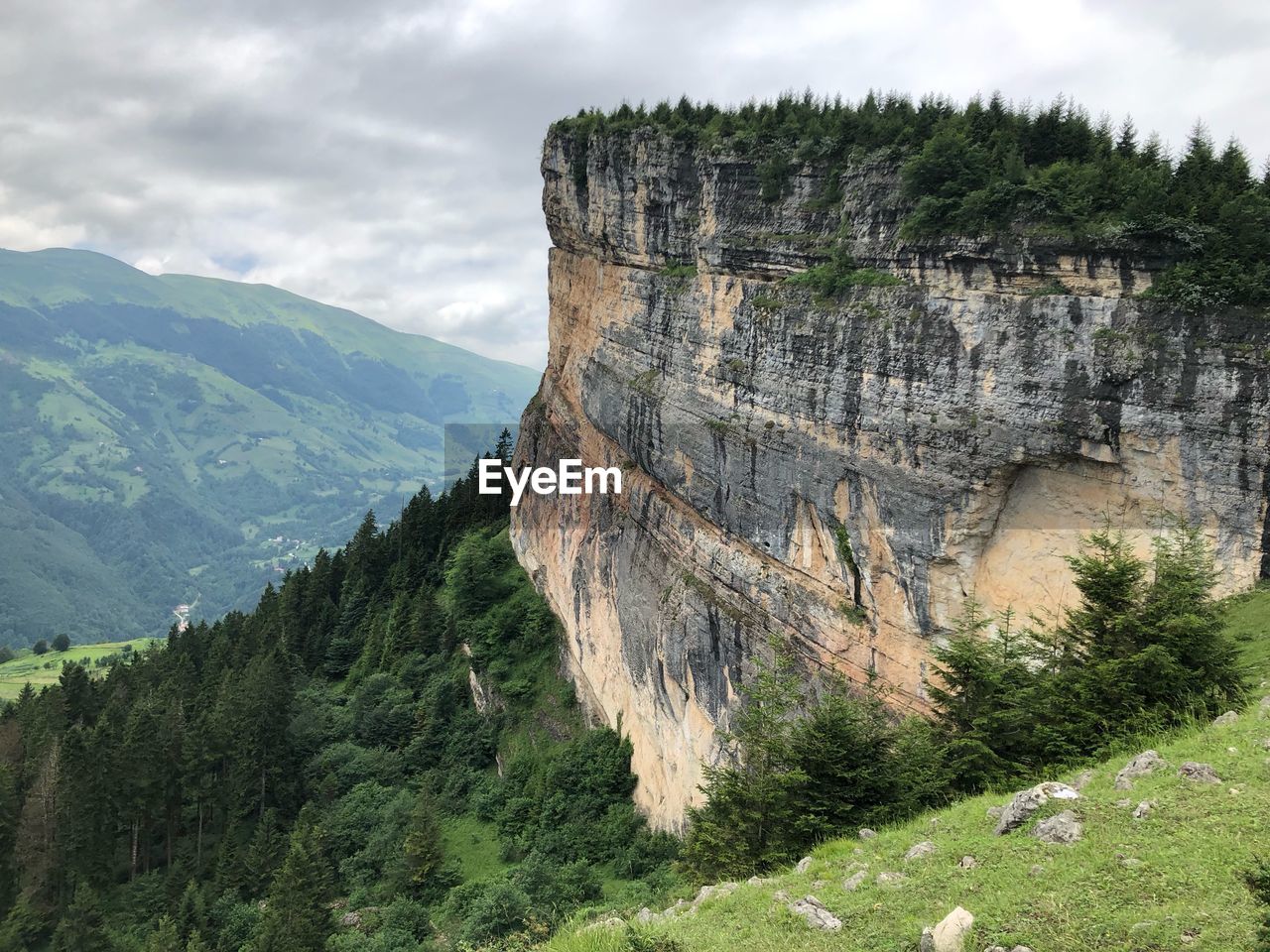 SCENIC VIEW OF PINE TREES AGAINST MOUNTAINS