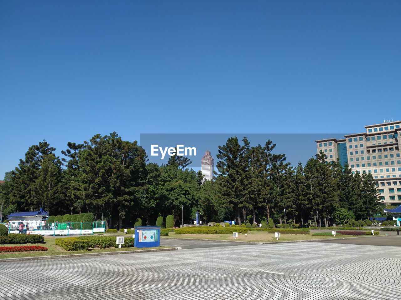 ROAD BY TREES AND BUILDINGS AGAINST CLEAR SKY