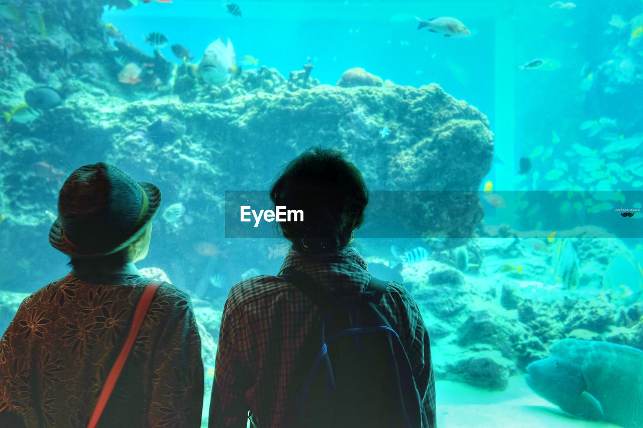 Rear view of men standing in aquarium