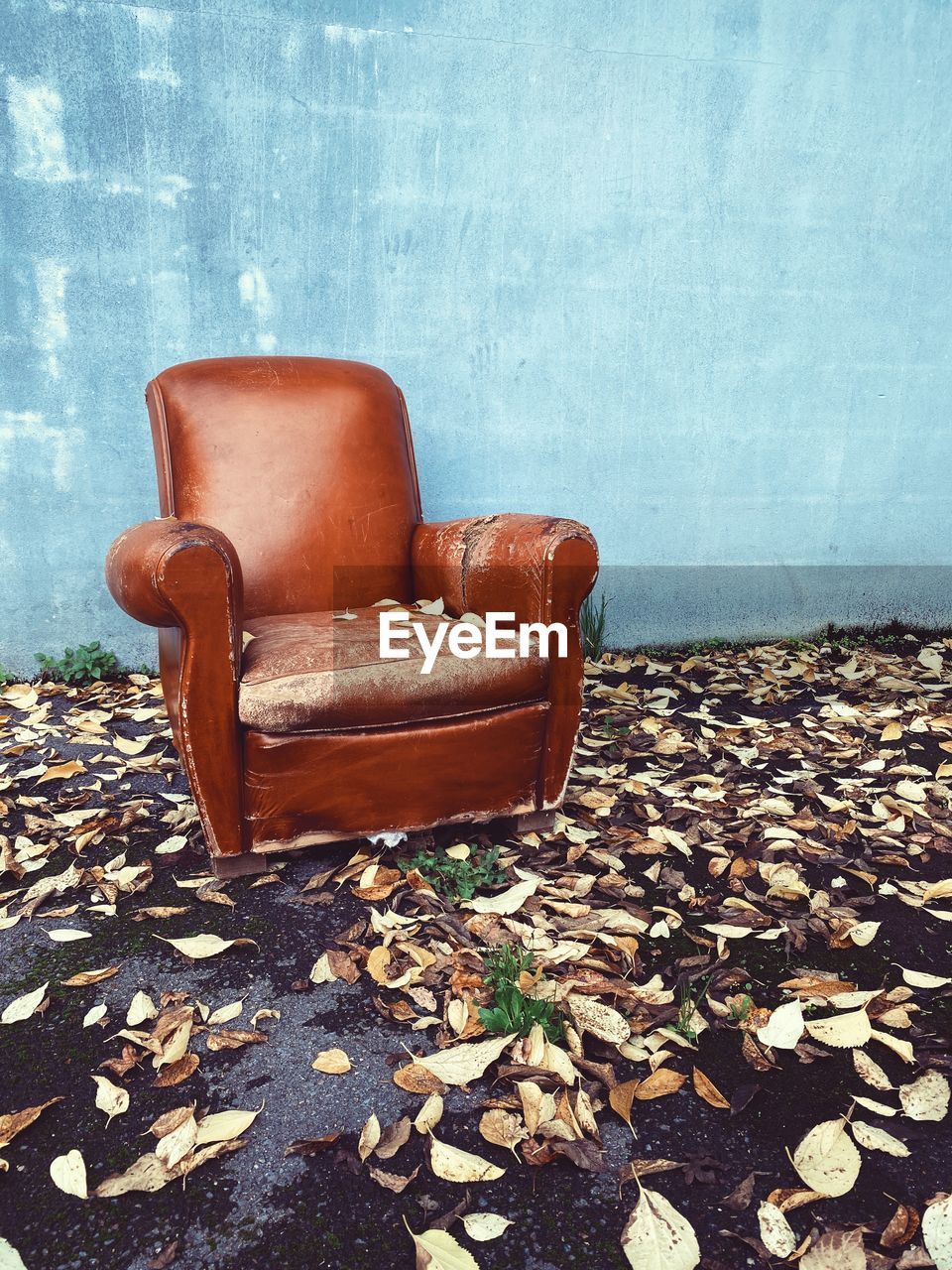 Empty brown chair on street with fall leaves and no people with copy space 