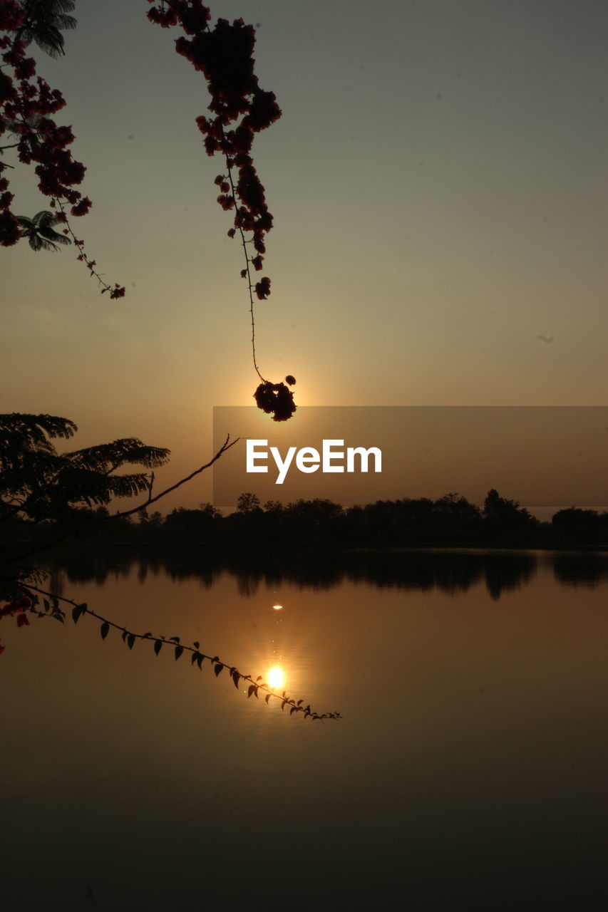 sky, nature, silhouette, sunset, beauty in nature, plant, no people, tranquility, tree, scenics - nature, outdoors, sun, sunlight, tranquil scene, reflection, darkness, water, wildlife, animal, light, animal themes, animal wildlife, environment, cloud