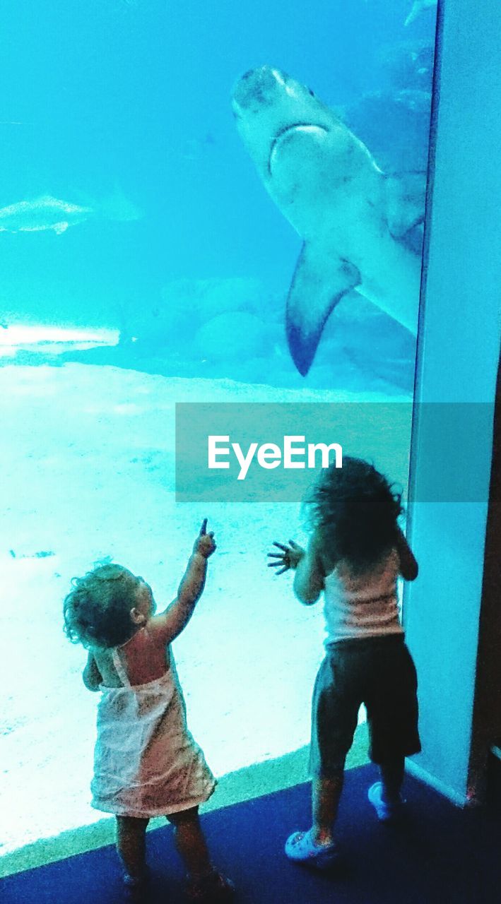 Rear view of girl and boy standing by glass at aquarium