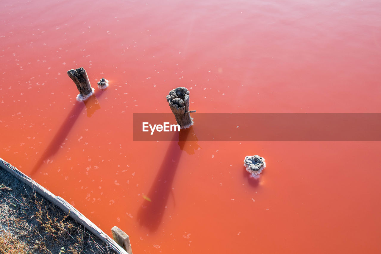 HIGH ANGLE VIEW OF PINK WATER ON ROAD