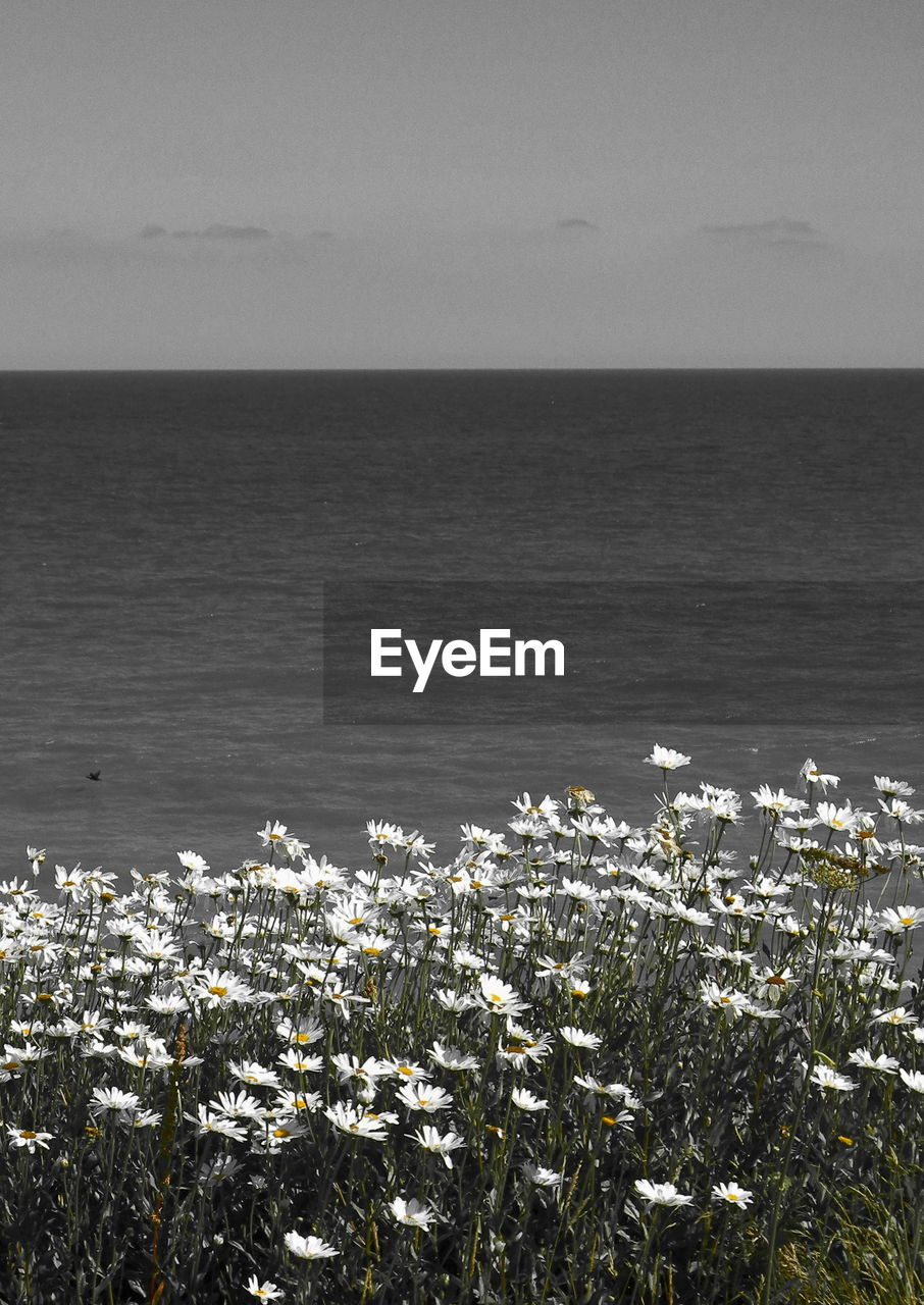 Scenic view of sea against sky during winter