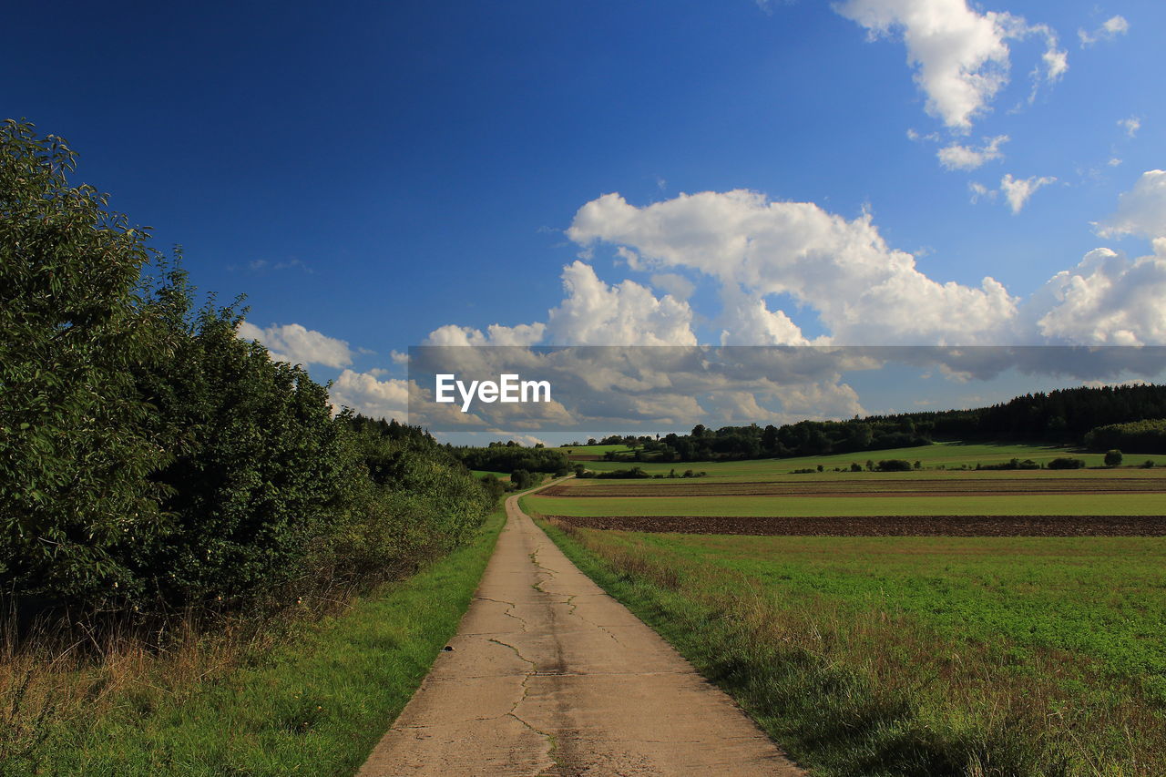 sky, landscape, plant, environment, cloud, rural area, grass, field, nature, land, hill, road, horizon, rural scene, scenics - nature, tree, beauty in nature, the way forward, grassland, prairie, no people, plain, meadow, agriculture, transportation, dirt, dirt road, tranquility, blue, growth, green, tranquil scene, diminishing perspective, footpath, outdoors, day, soil, non-urban scene, vanishing point, travel, crop, farm, morning, natural environment, food and drink