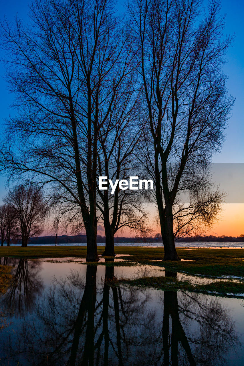 Bare trees by lake against sky during sunset