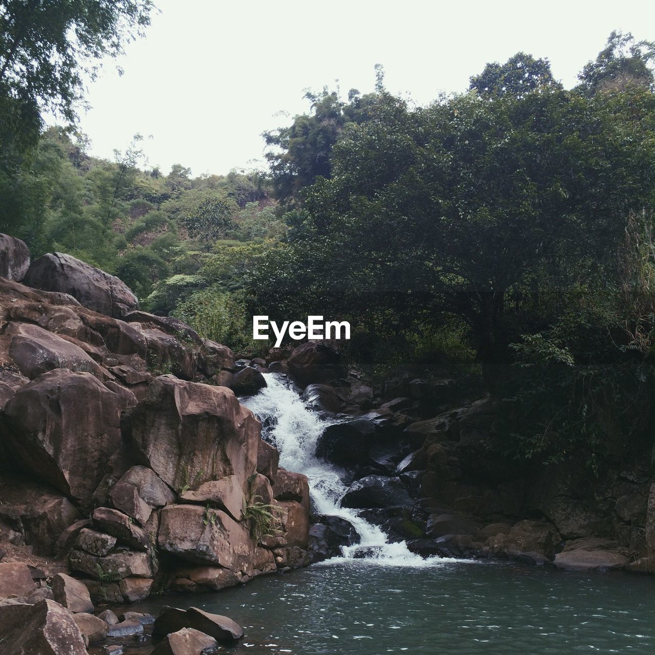 Scenic view of waterfall in forest