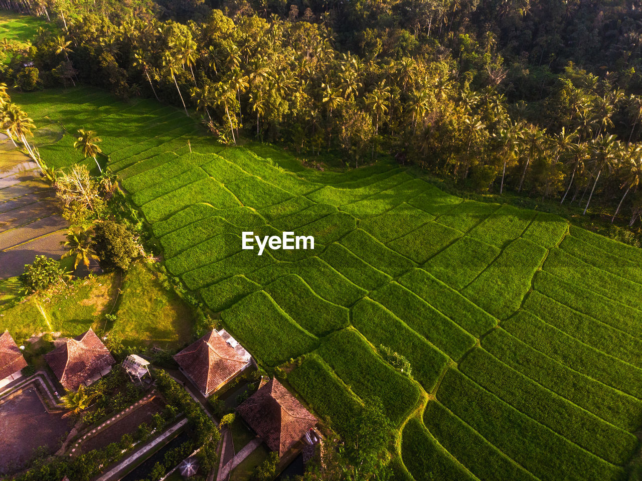 High angle view of landscape