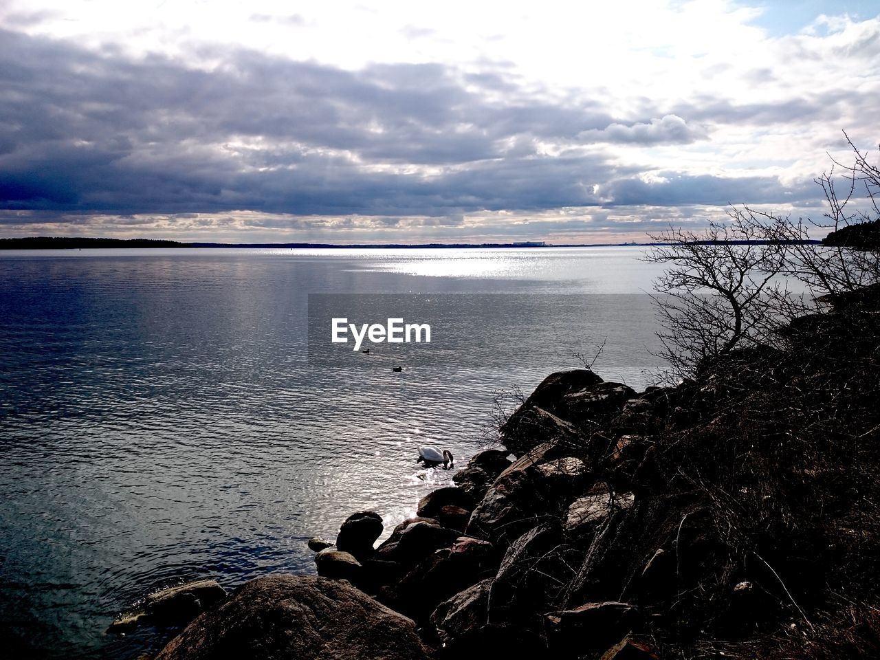 SCENIC VIEW OF SEA