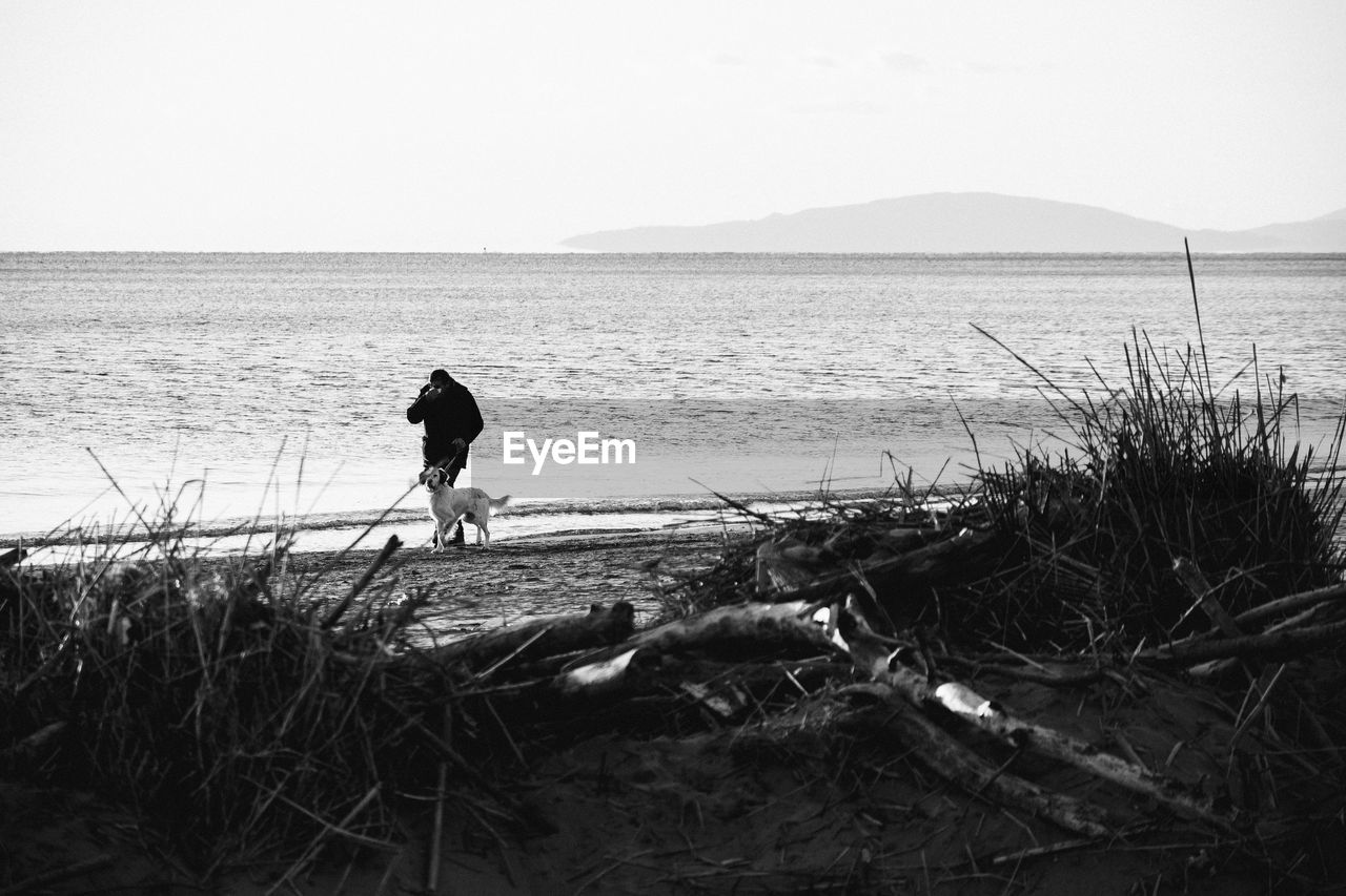 Man walking with dog on shore at beach