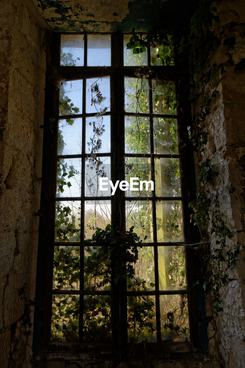 CLOSE-UP OF WINDOW IN OLD ABANDONED BUILDING