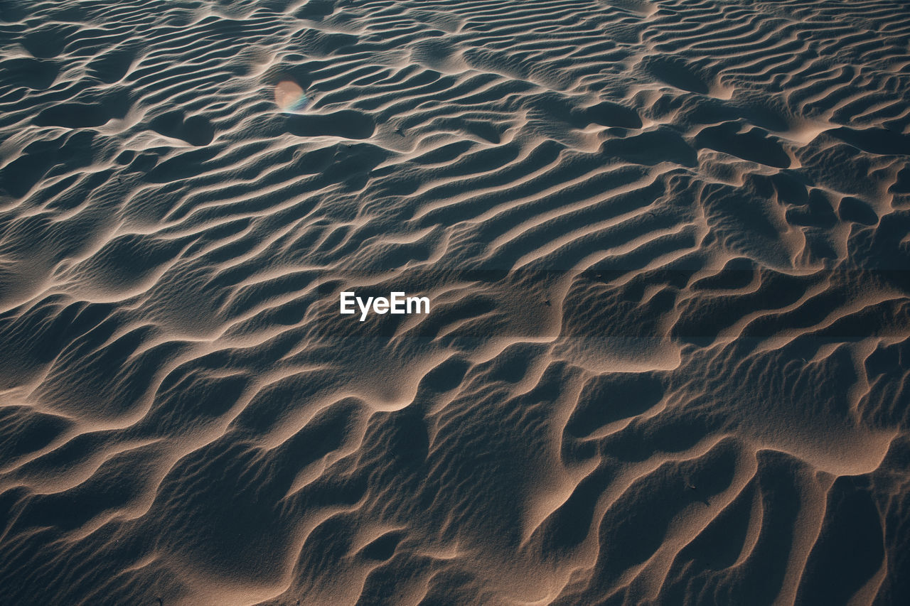 Full frame shot of sand dune