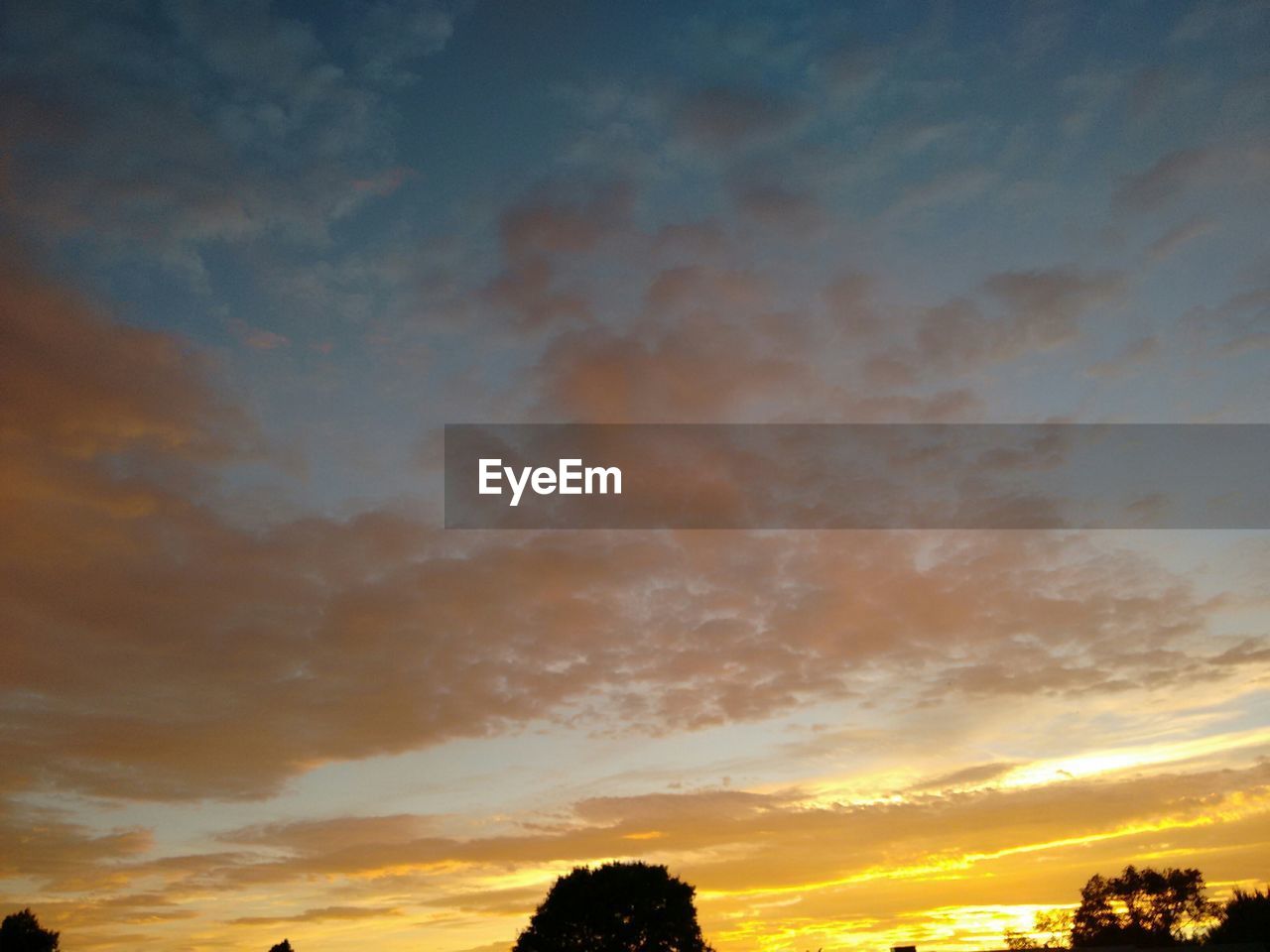 SILHOUETTE OF TREES AGAINST CLOUDY SKY