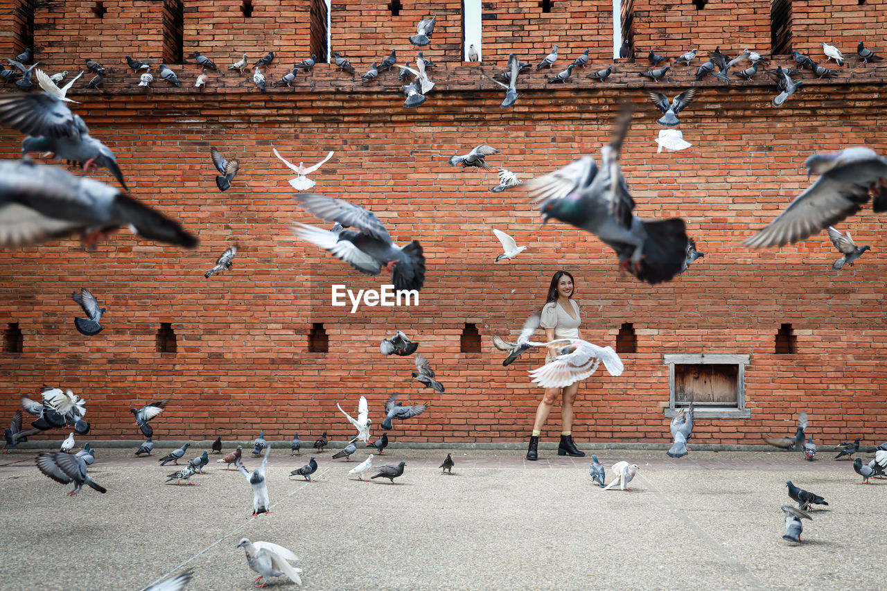 Woman is walking through group of birds