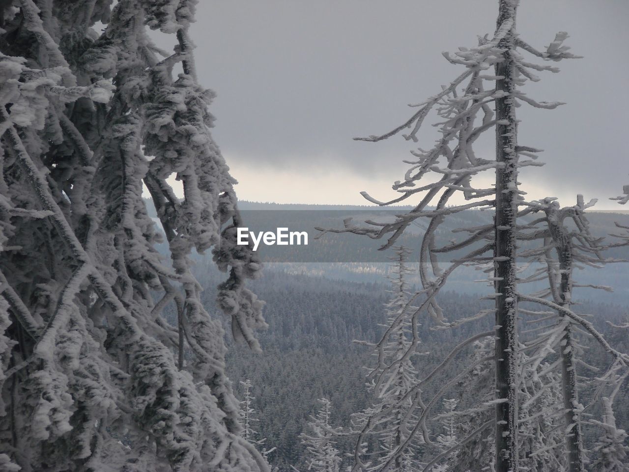 SCENIC VIEW OF SNOW COVERED LAND