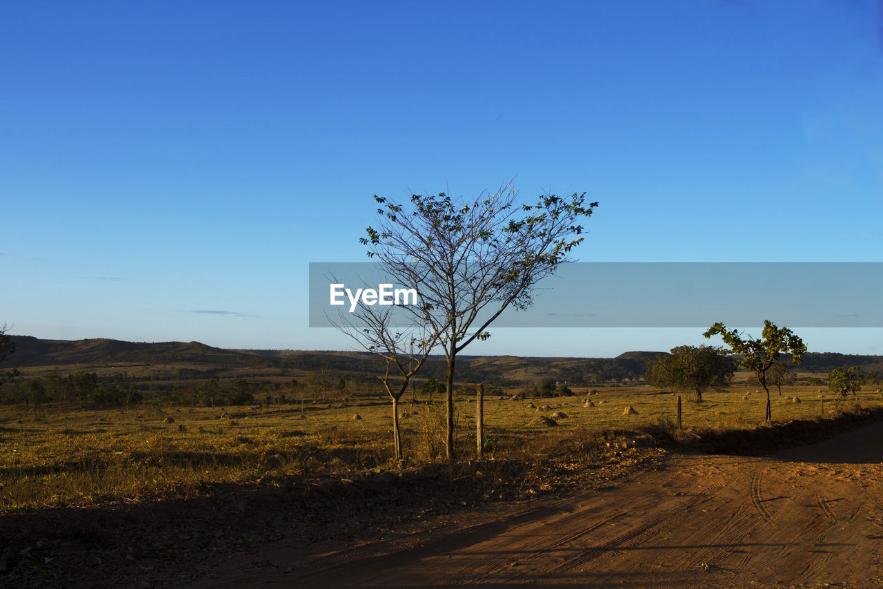 Scenic view of landscape against clear blue sky