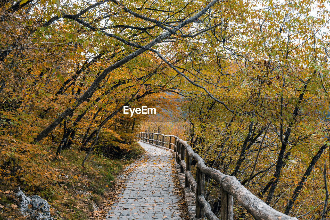 Wooden path in plitvice lakes national park in croatia in autumn