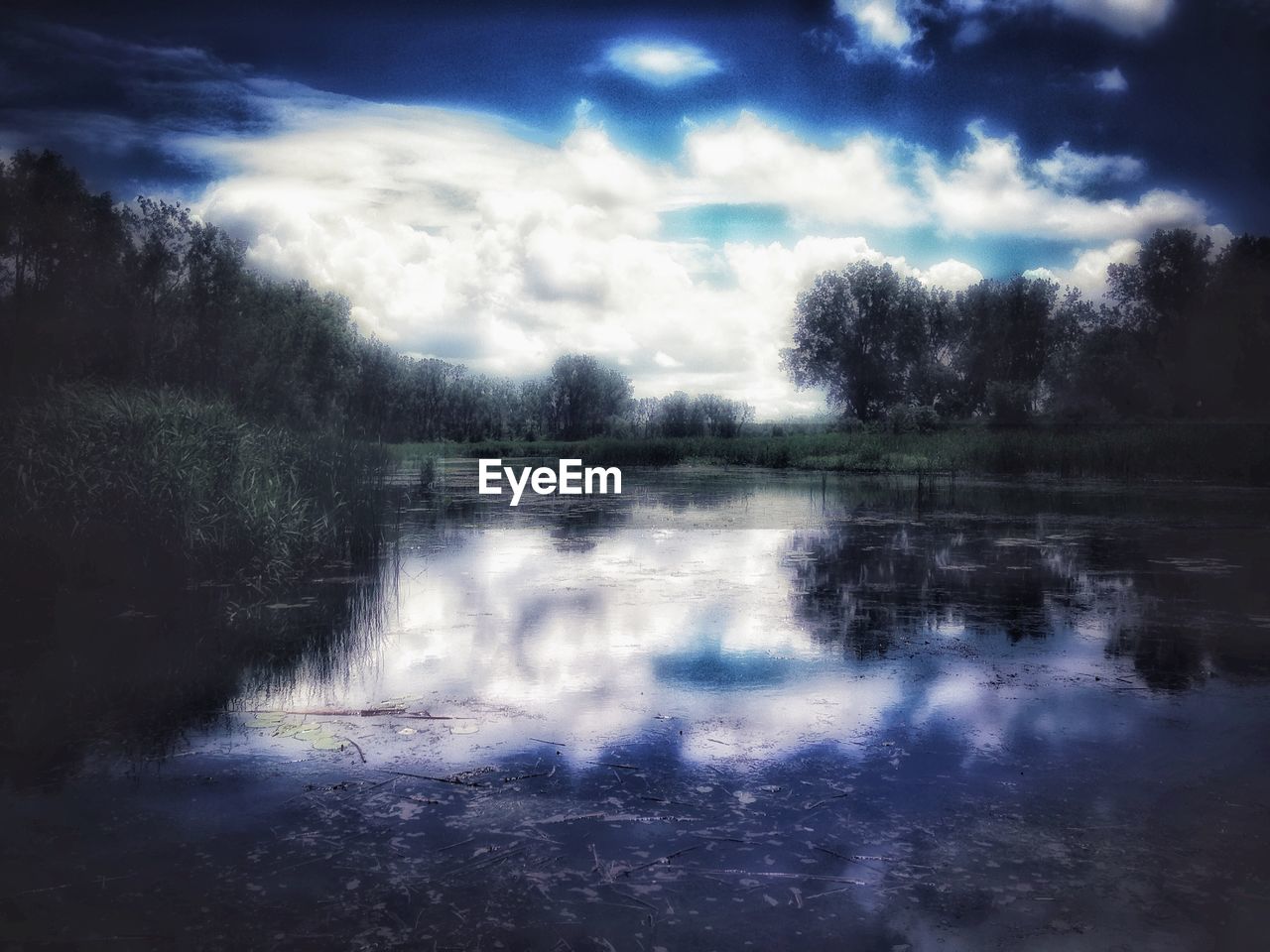 SCENIC VIEW OF LAKE IN FOREST