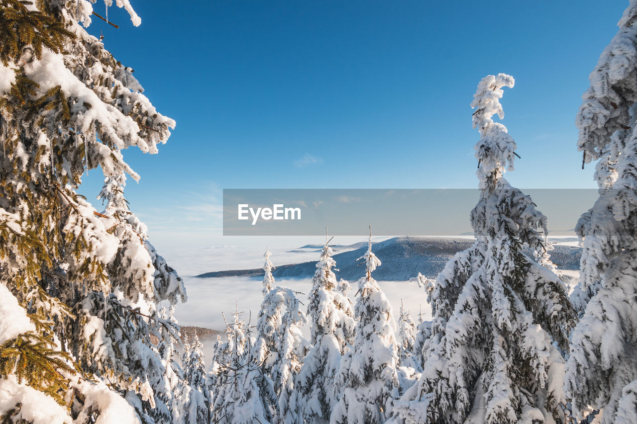 panoramic view of snowcapped mountain against sky