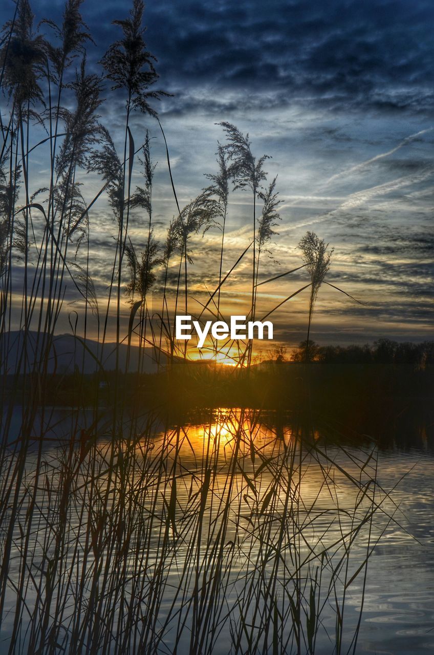 Scenic view of lake at sunset