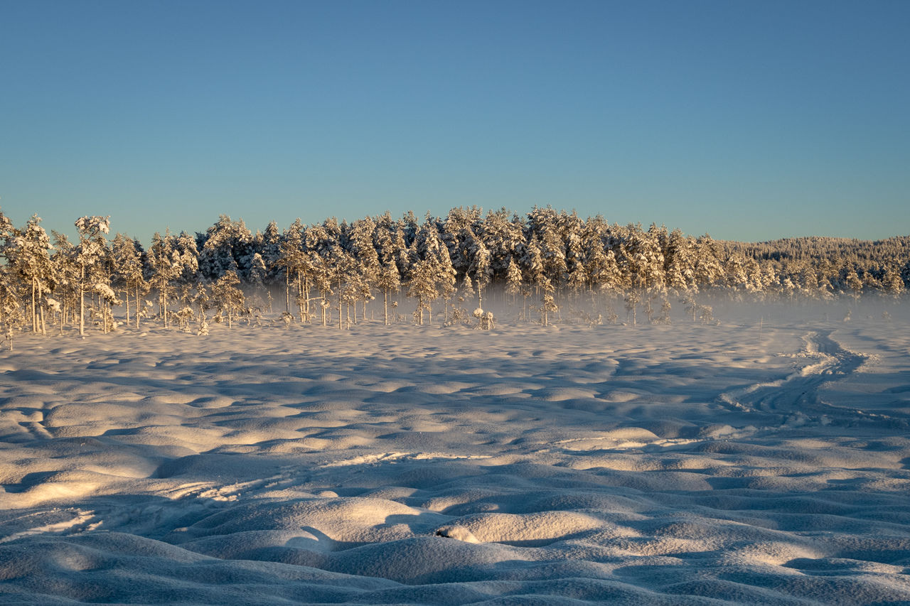 SNOW COVERED LAND AGAINST CLEAR BLUE SKY