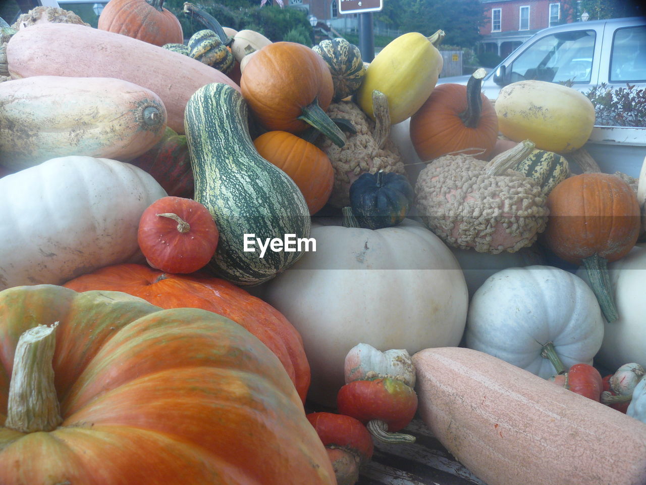 CLOSE-UP OF PUMPKINS IN CONTAINER