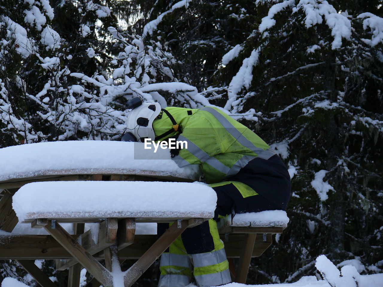 VIEW OF SNOW COVERED TREE