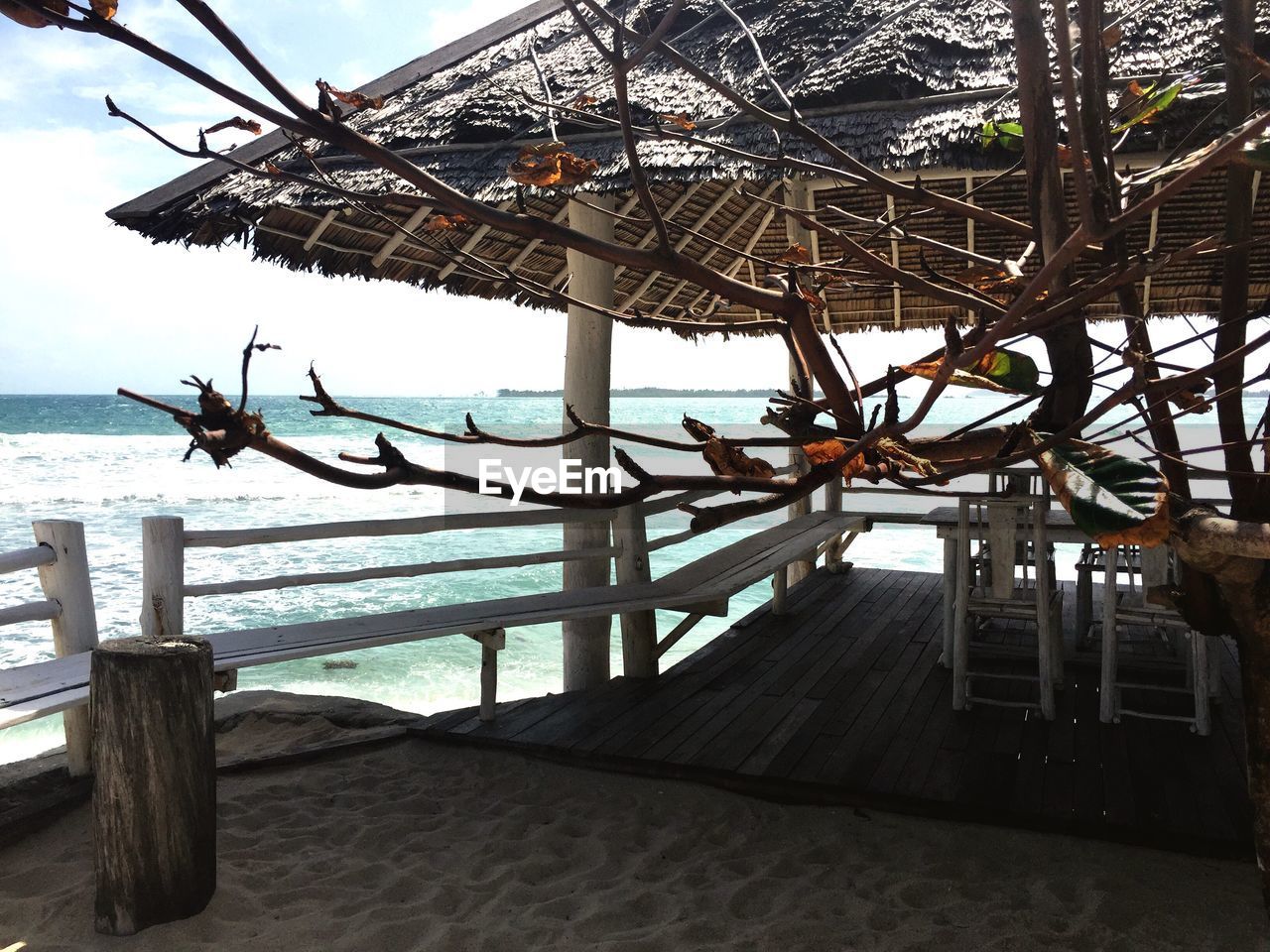 Bare tree branch against gazebo at beach