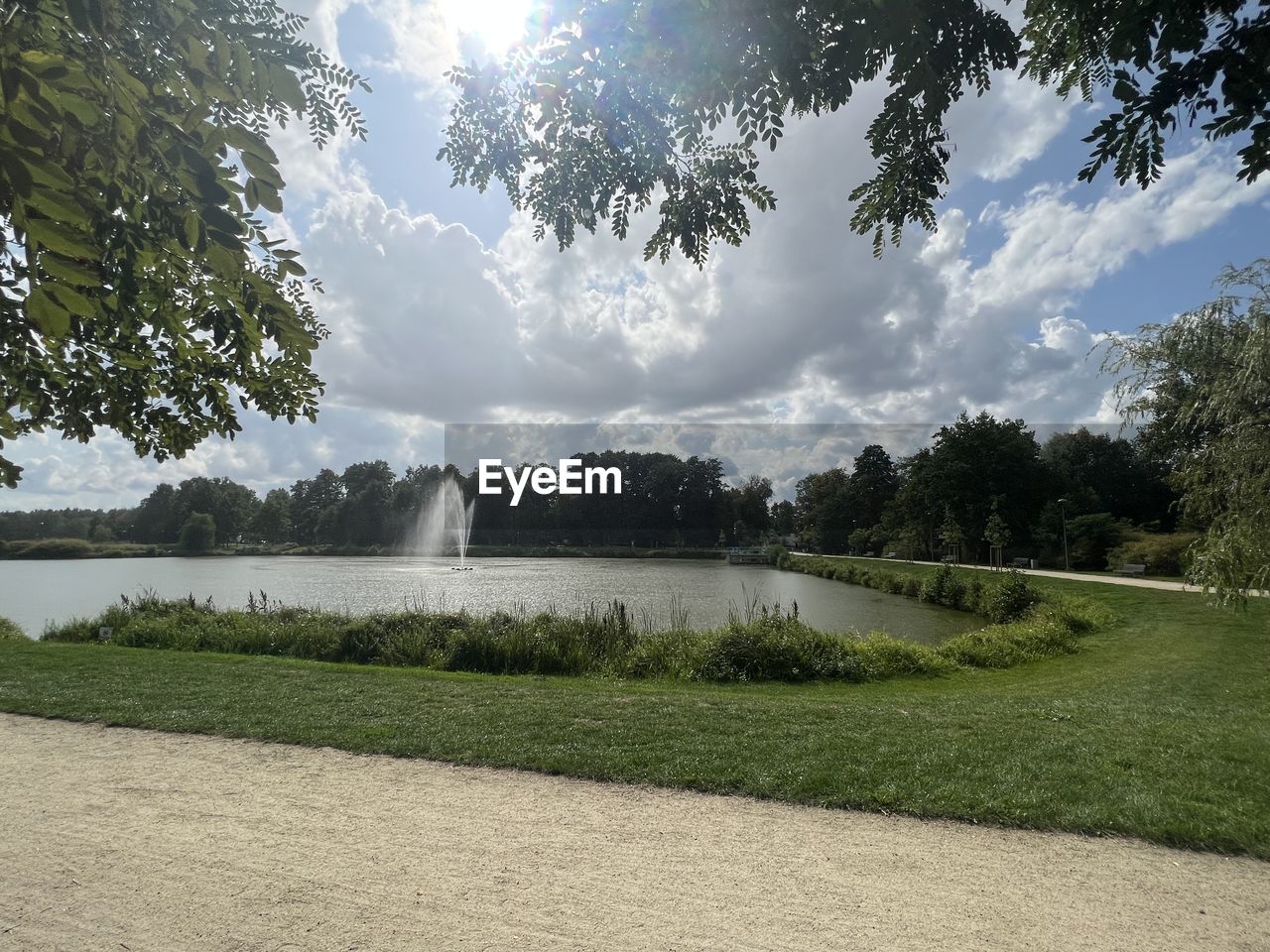 plant, tree, water, sky, nature, cloud, beauty in nature, scenics - nature, grass, lake, environment, no people, sunlight, landscape, tranquility, day, outdoors, green, tranquil scene, reflection, land, growth