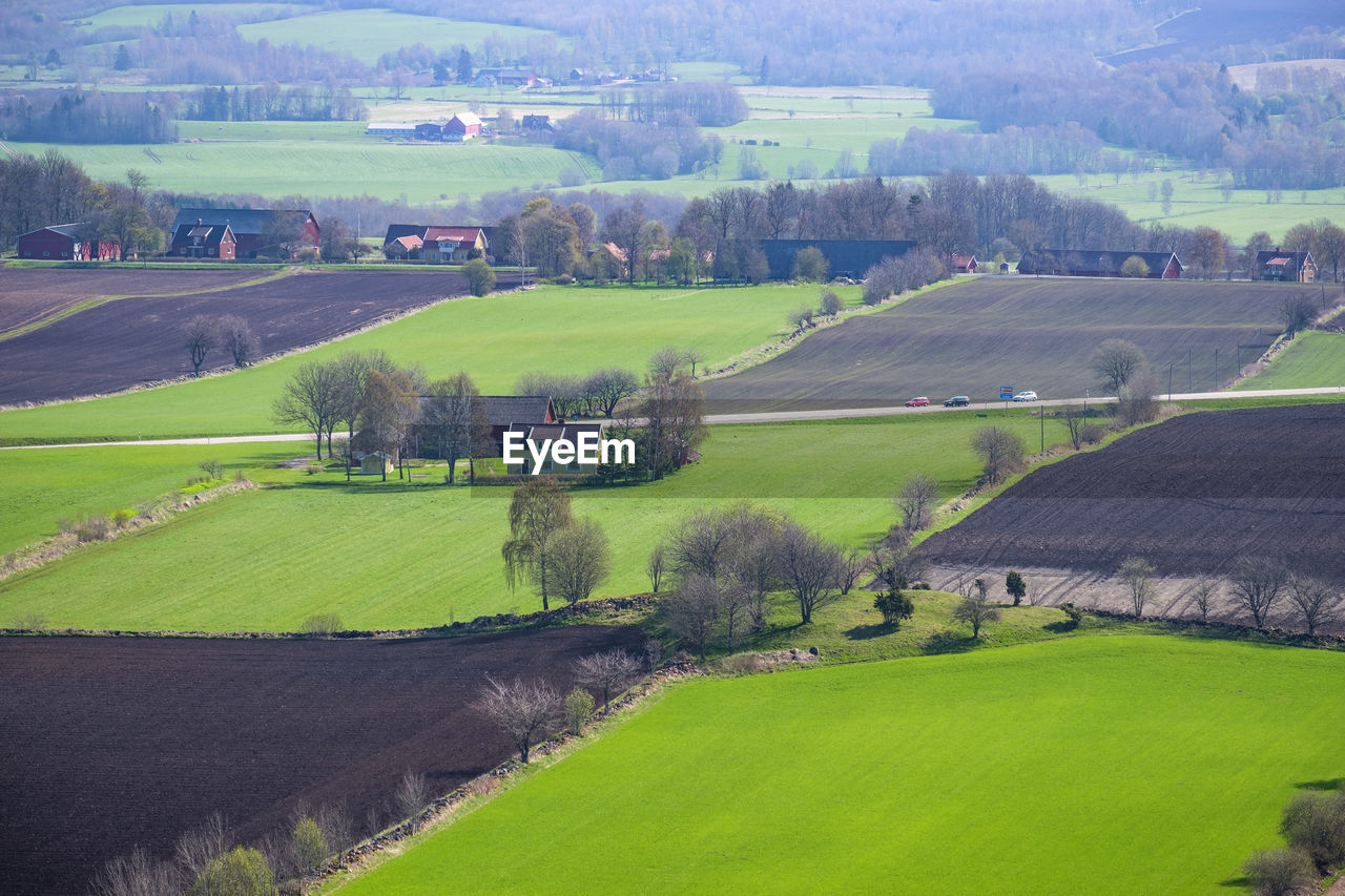 High angle view of agricultural landscape