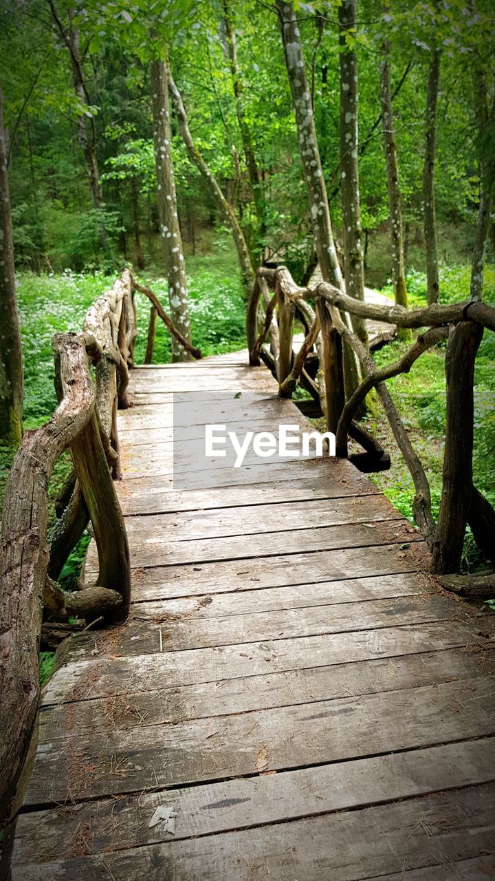 WOODEN FOOTBRIDGE AMIDST TREES