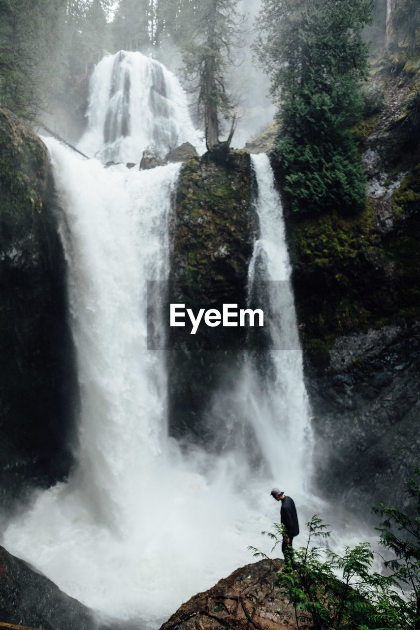 WATERFALL IN FOREST