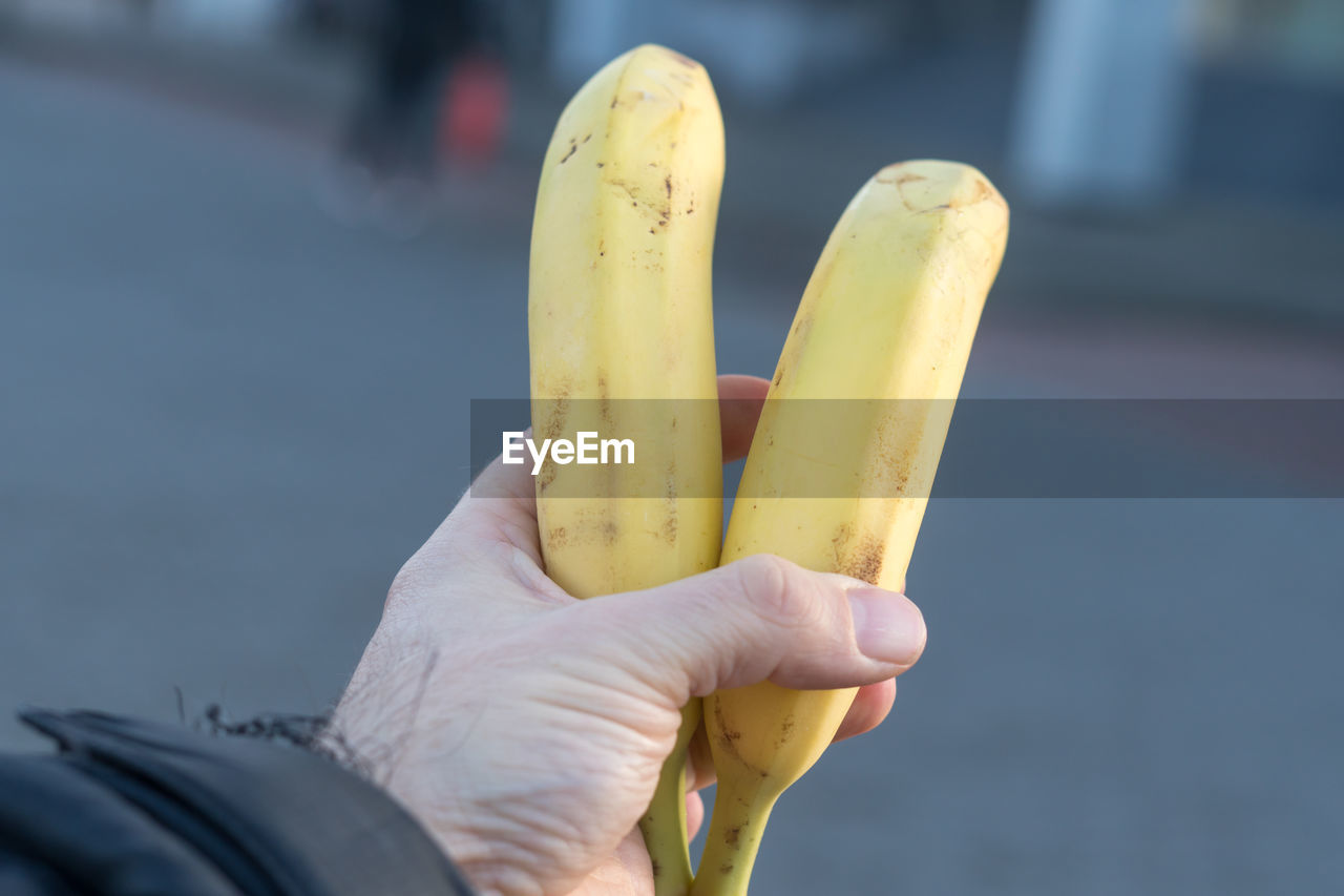 Male hand holding two bananas