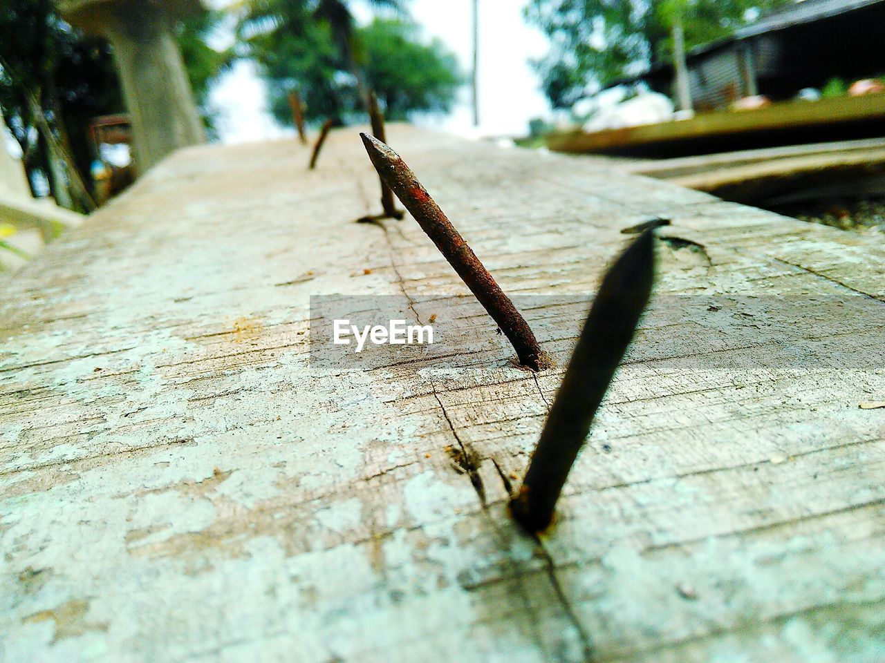 CLOSE-UP OF CATERPILLAR