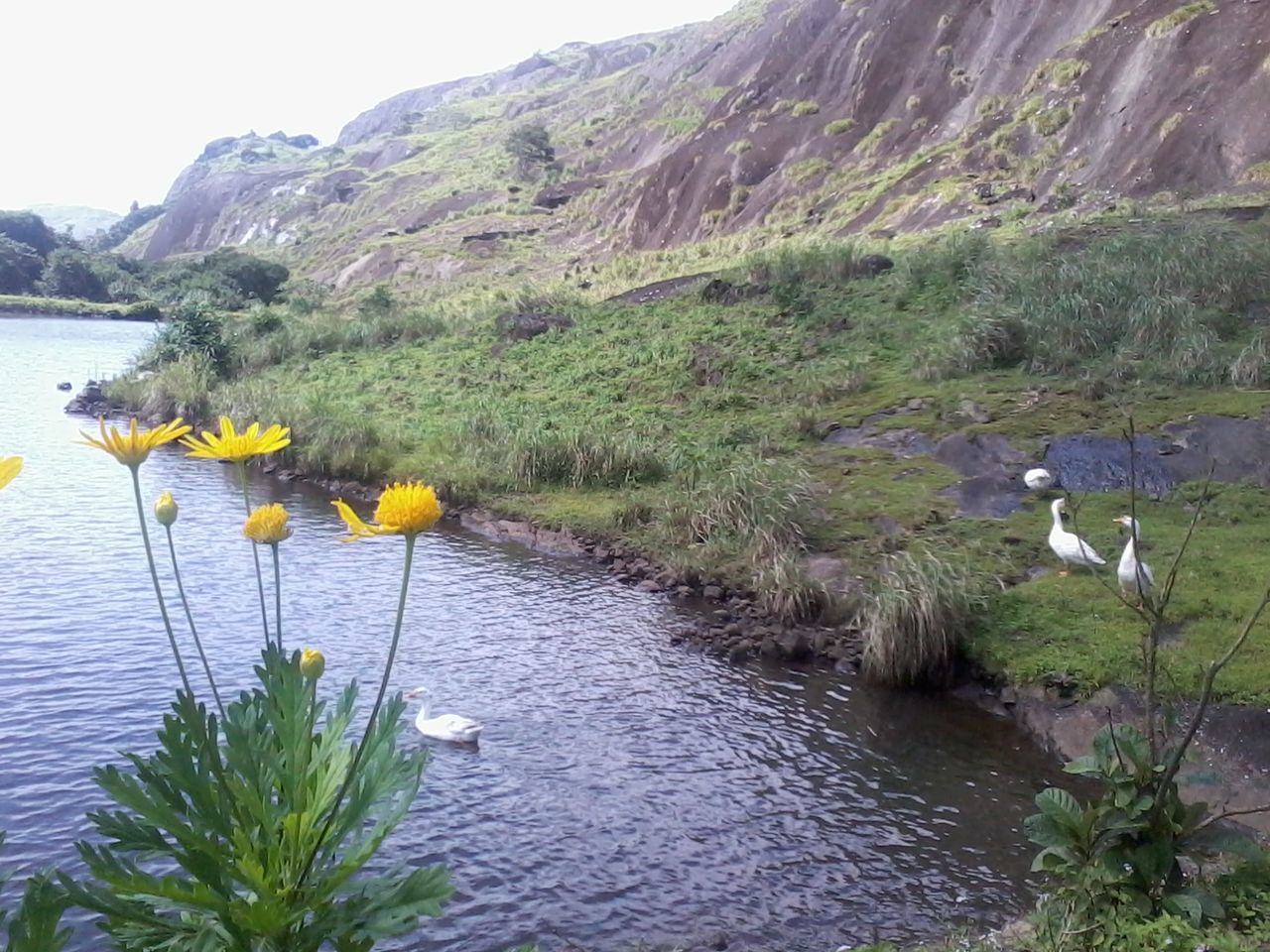 SCENIC VIEW OF MOUNTAINS