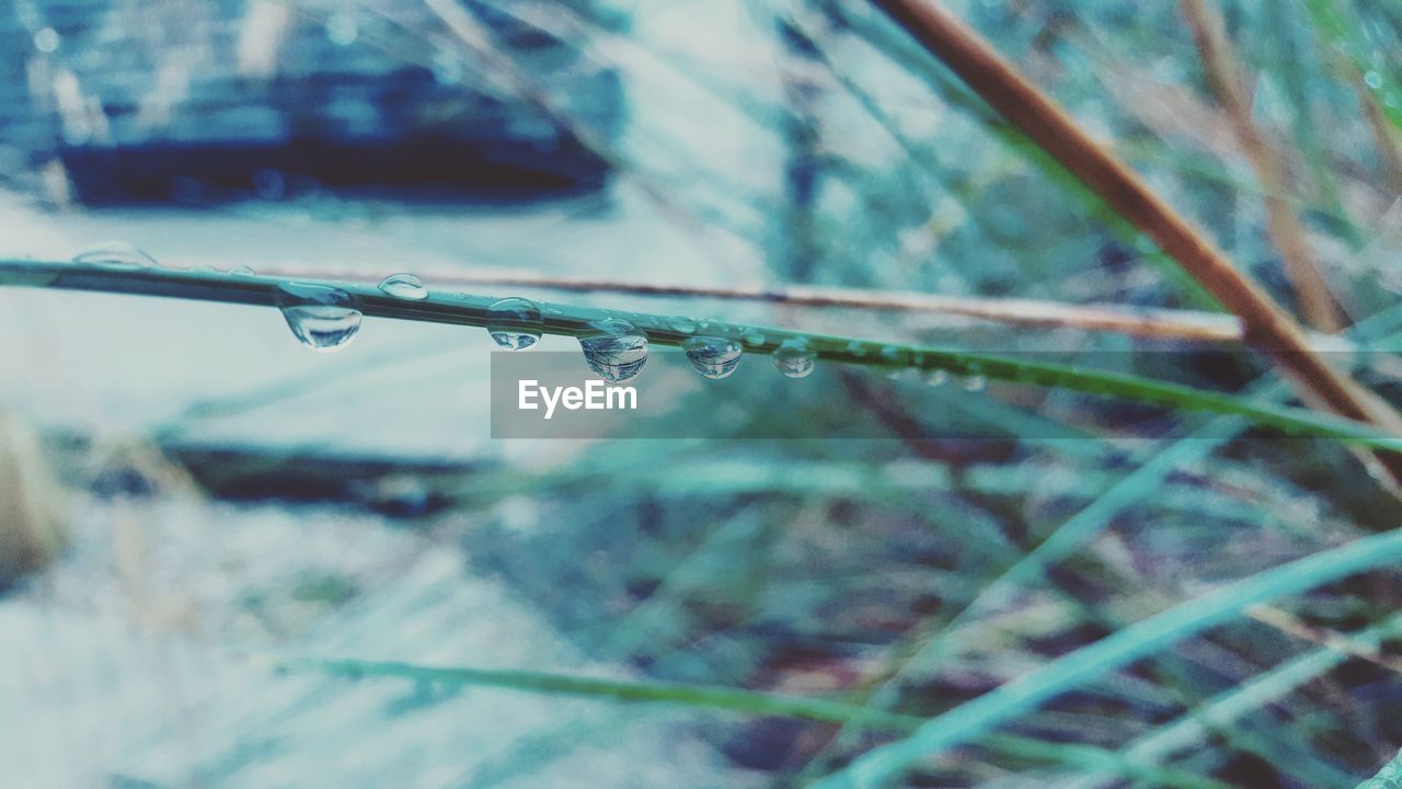CLOSE-UP OF RAINDROPS ON SNOW