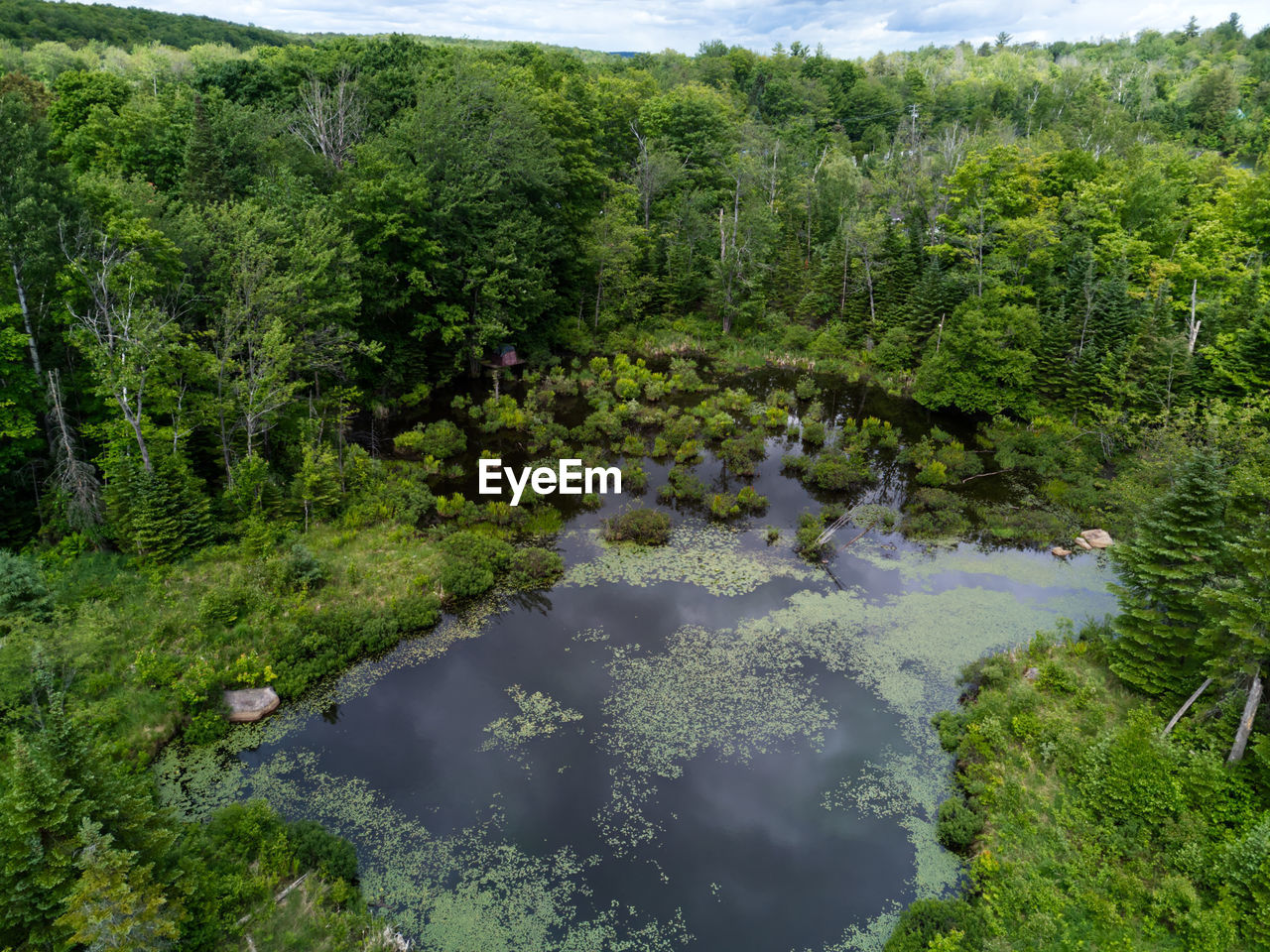 SCENIC VIEW OF LAKE AMIDST TREES