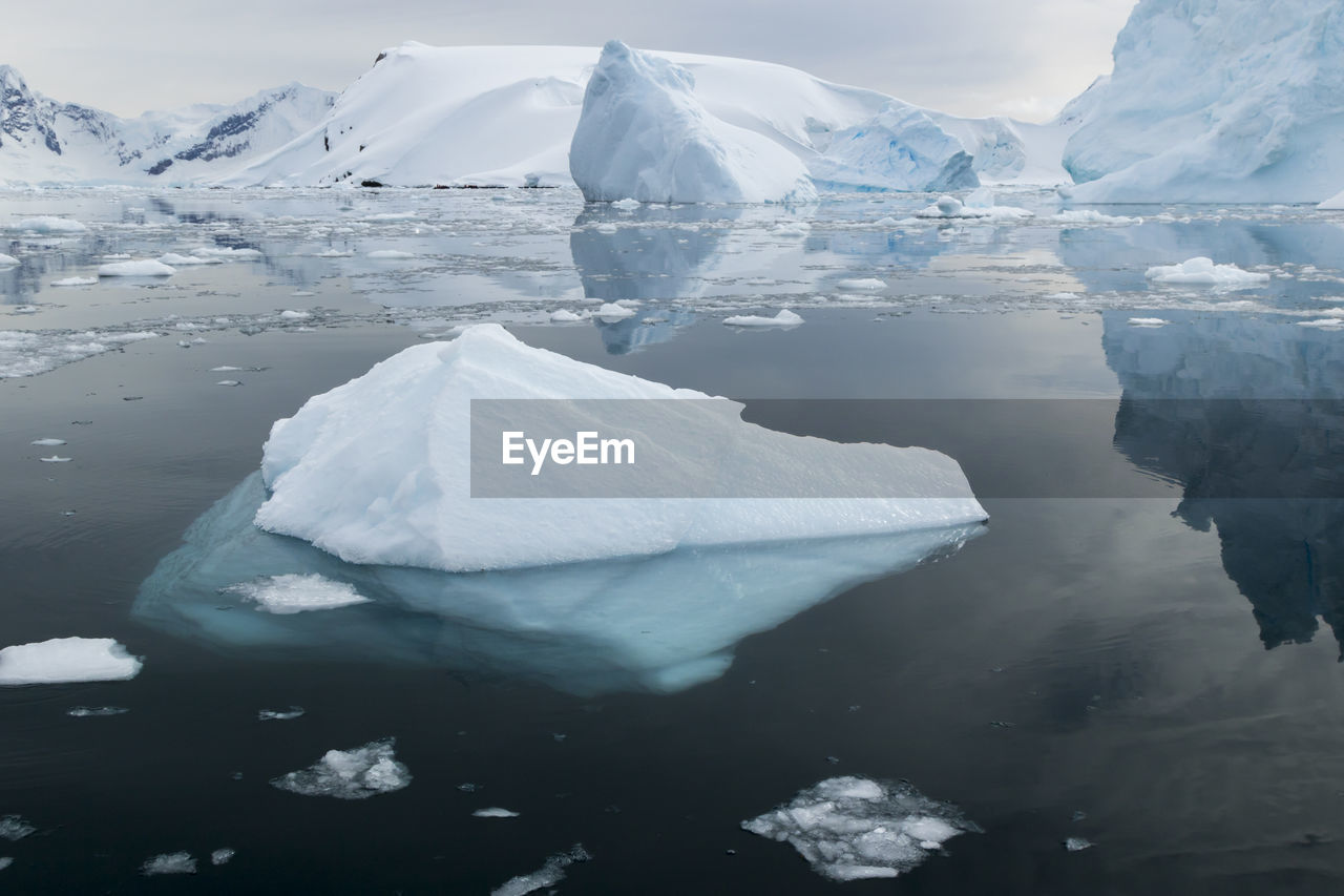 Landscape reflections and floating iceberg in still waters, antarctica.