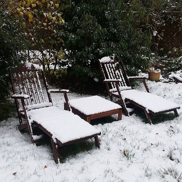 EMPTY BENCH ON BENCH