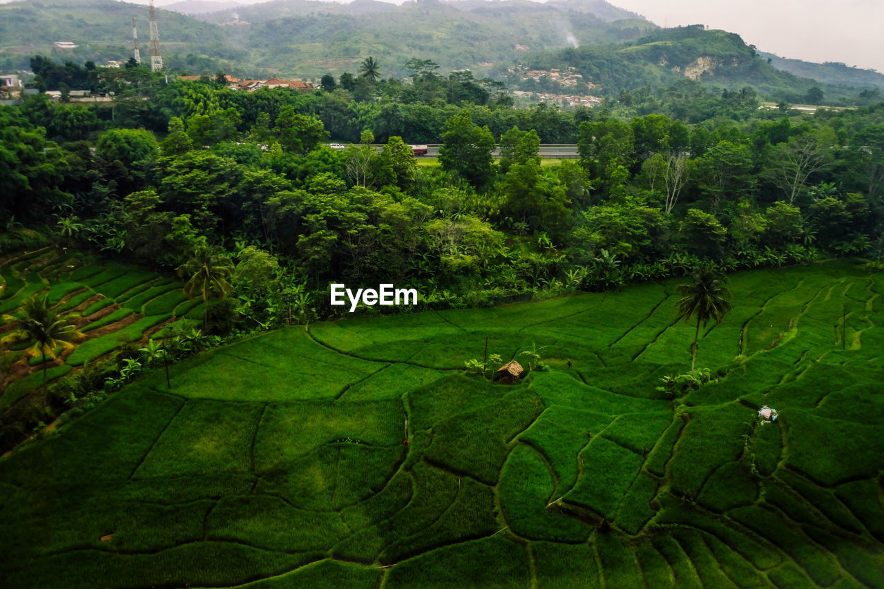 High angle view of green landscape