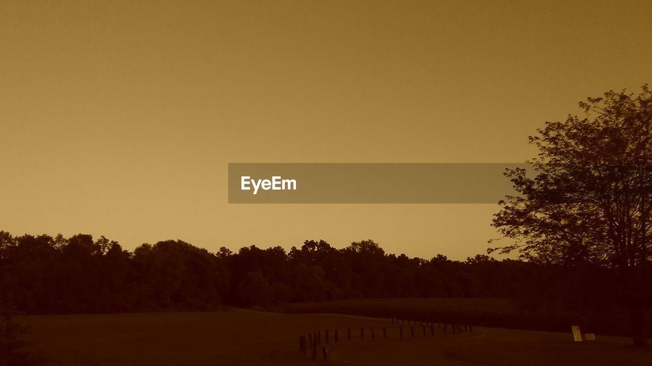 SCENIC VIEW OF SILHOUETTE TREES AGAINST CLEAR SKY