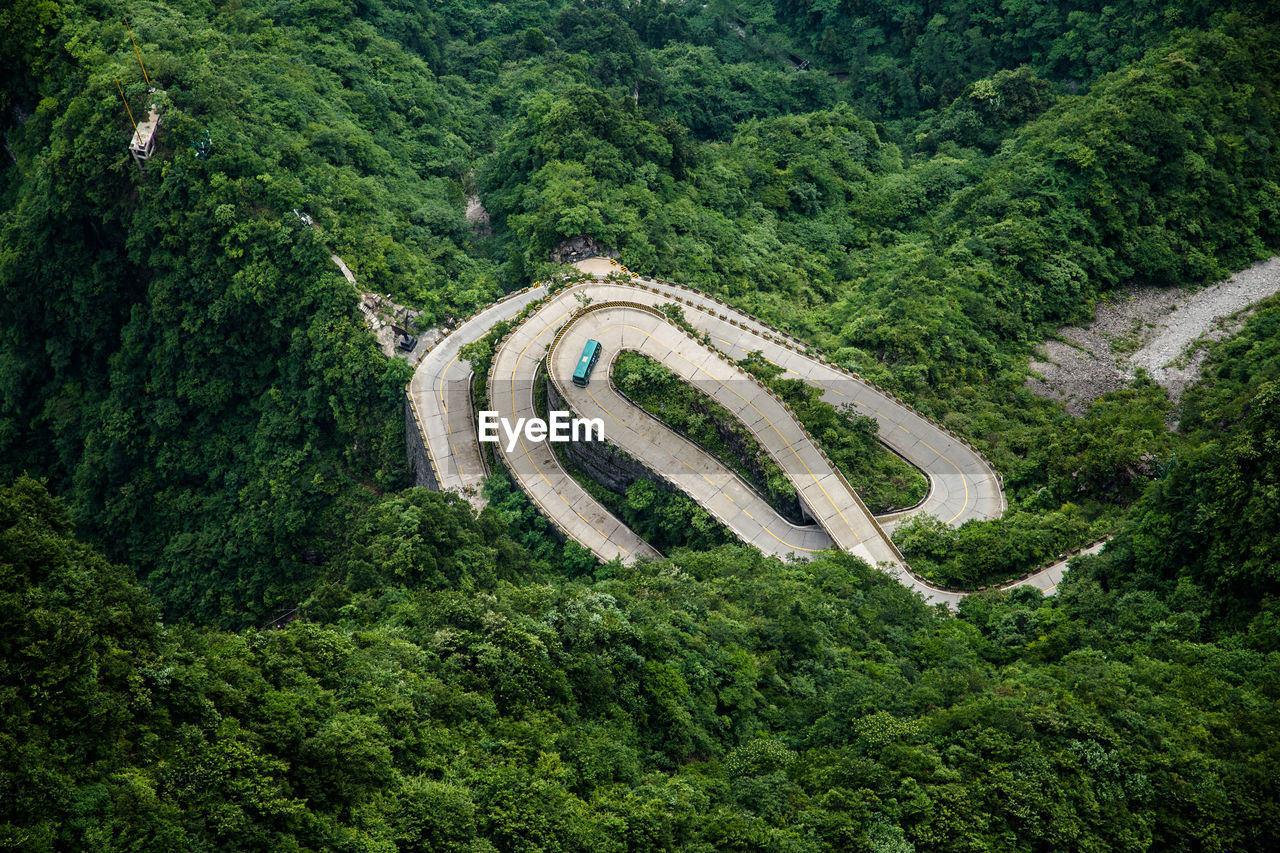 High angle view of winding road amidst trees in forest