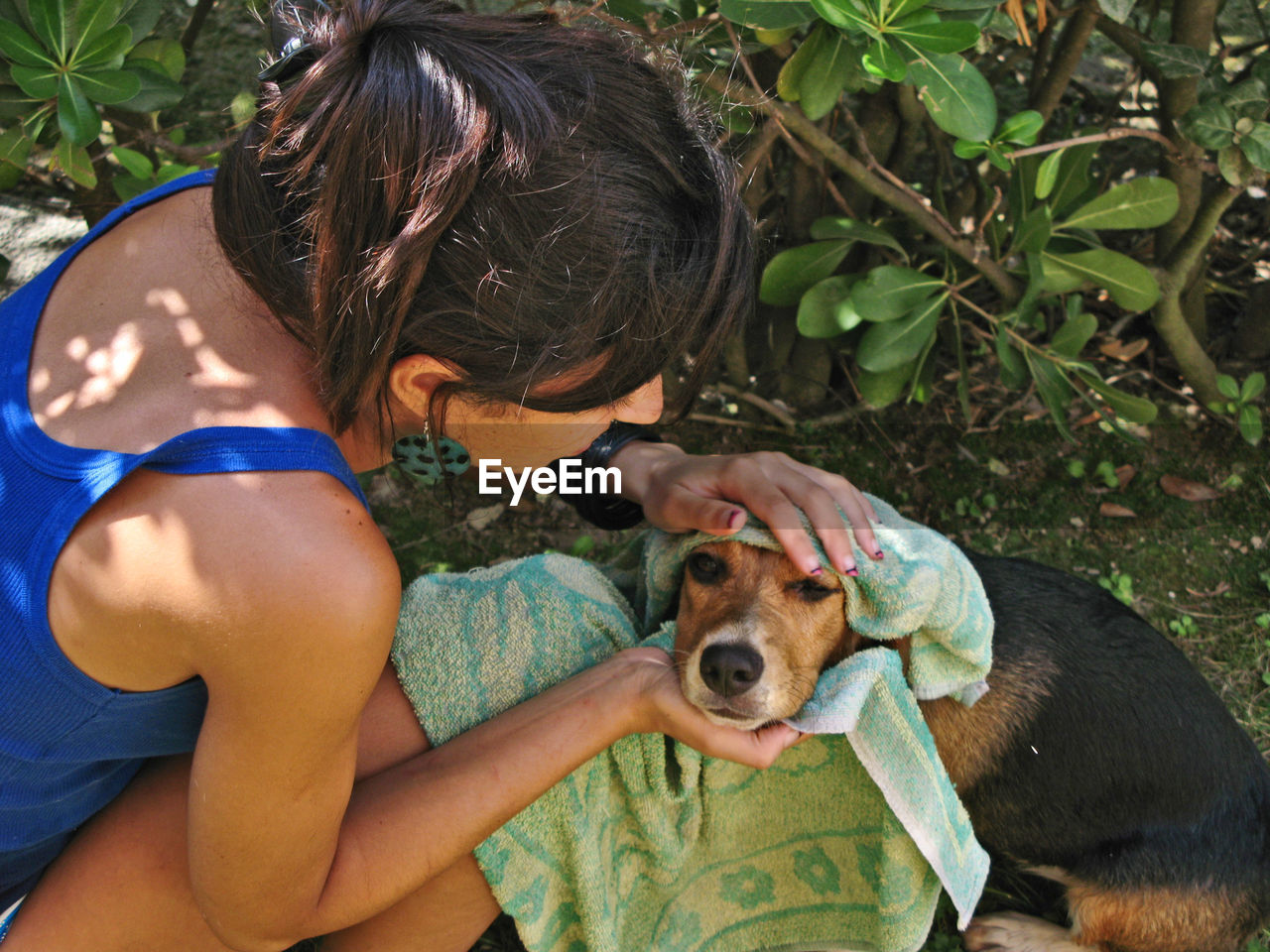 High angle view of woman wiping dog