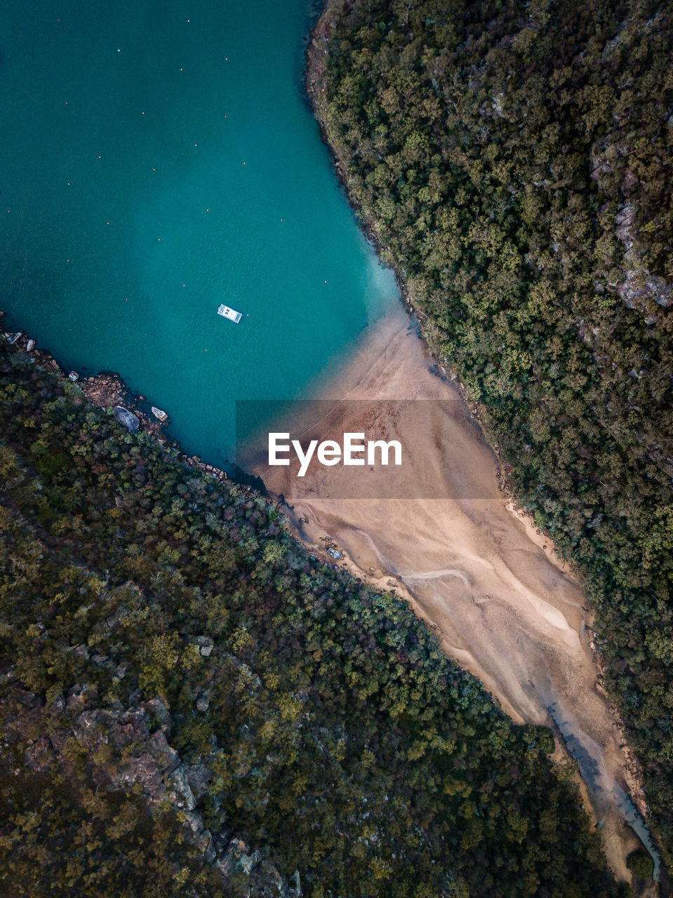 Aerial view of trees by sea