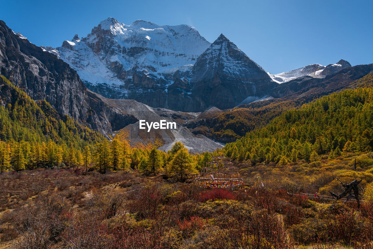 Mountain in yading with autumn leaves