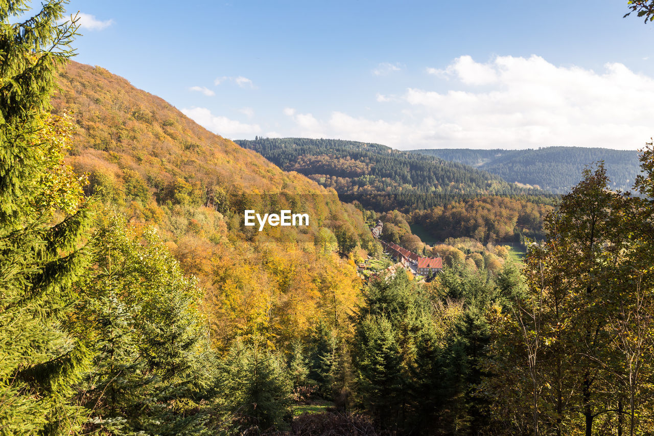 Scenic view of forest against sky during autumn