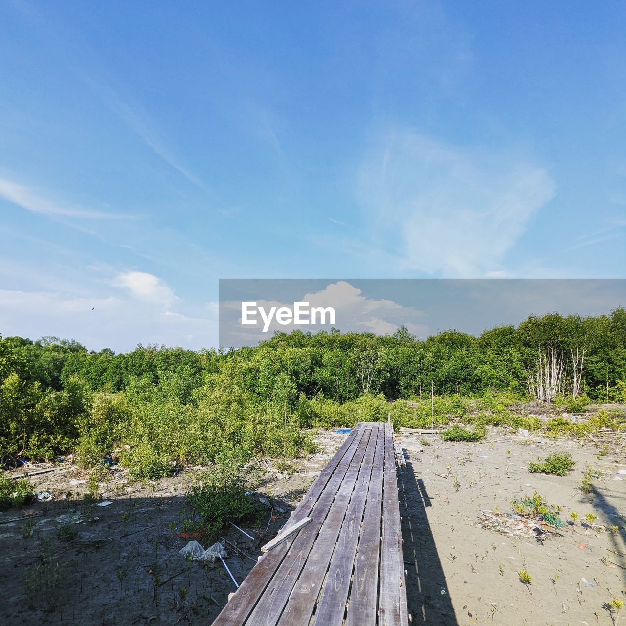 sky, tree, plant, nature, wood, landscape, scenics - nature, cloud, land, no people, environment, day, blue, footpath, water, the way forward, beauty in nature, tranquility, outdoors, boardwalk, travel, non-urban scene, transportation, architecture, track, sunlight, tranquil scene, forest, rural area, travel destinations, green, sea, bridge