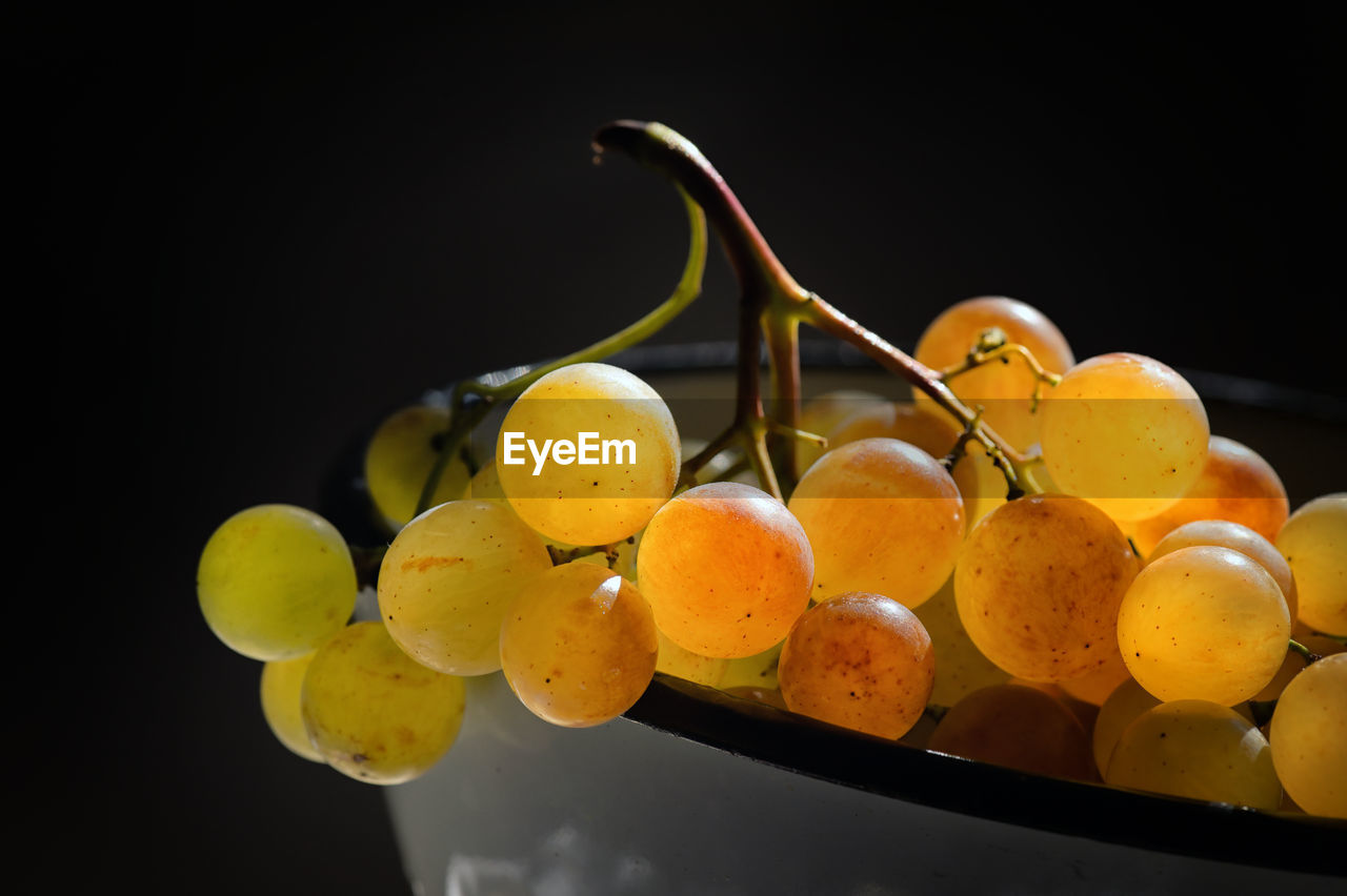 CLOSE-UP OF GRAPES IN GLASS