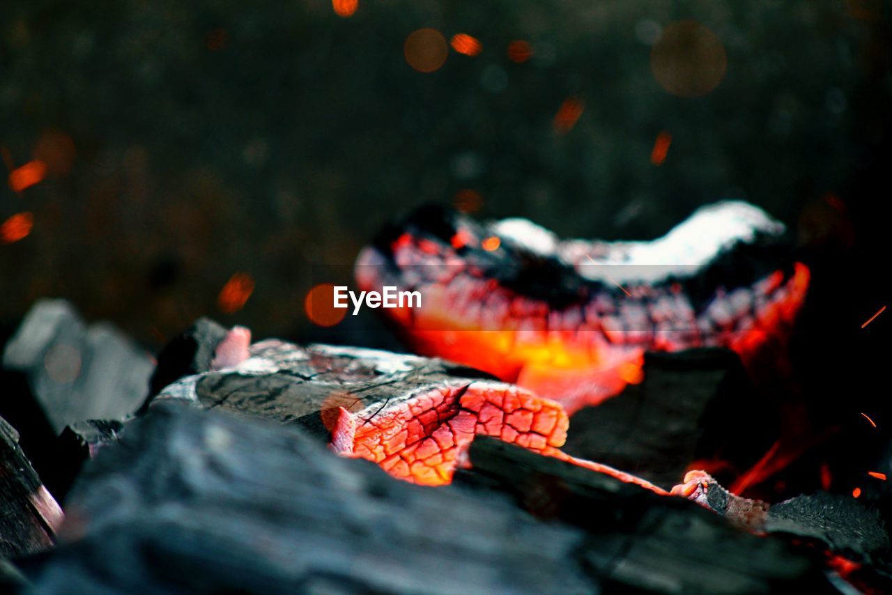 Close-up of coal burning