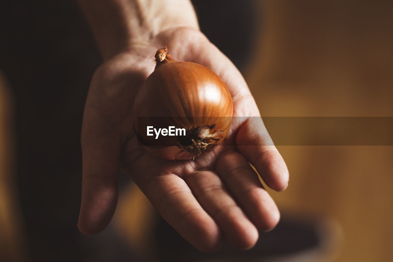 Close-up view of hand holding an onion